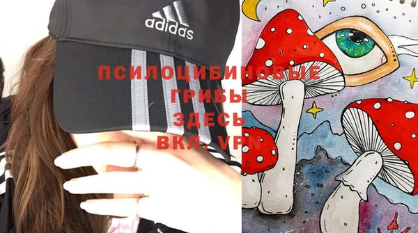 прущие крисы Армянск