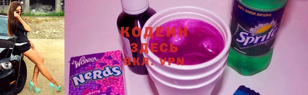гашик Арсеньев