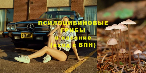 гашик Арсеньев