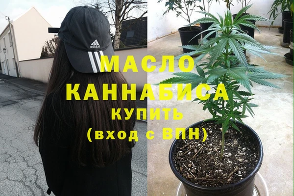 гашик Арсеньев