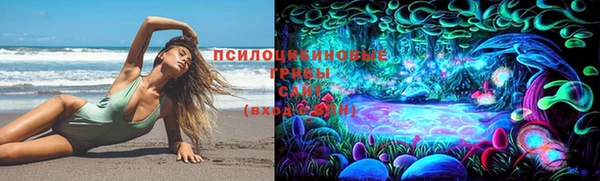 дживик Аркадак