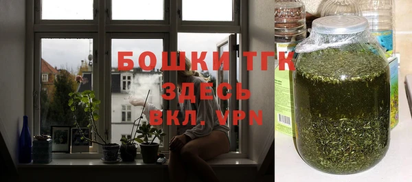 гашик Арсеньев