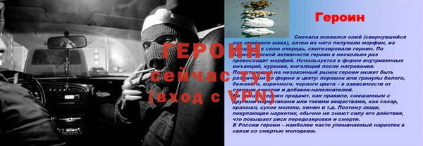 гашик Арсеньев