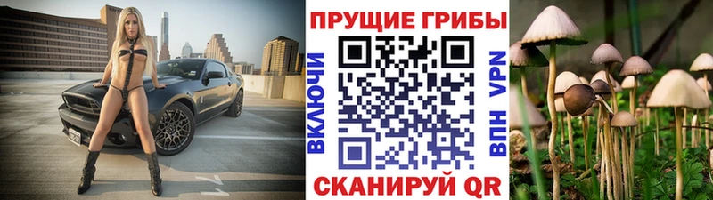 Галлюциногенные грибы Psilocybine cubensis  где можно купить наркотик  Нолинск 