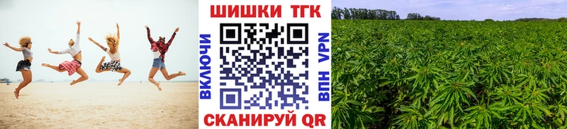 Конопля планчик  где купить наркотик  Нолинск 